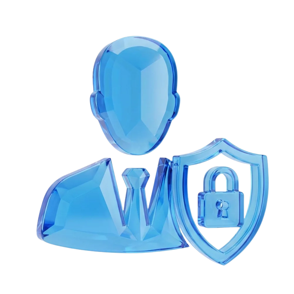 Cybersecurity Consultant